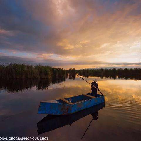 黄金鸟获取攻略：揭秘苏丹游戏金色装备高效方法