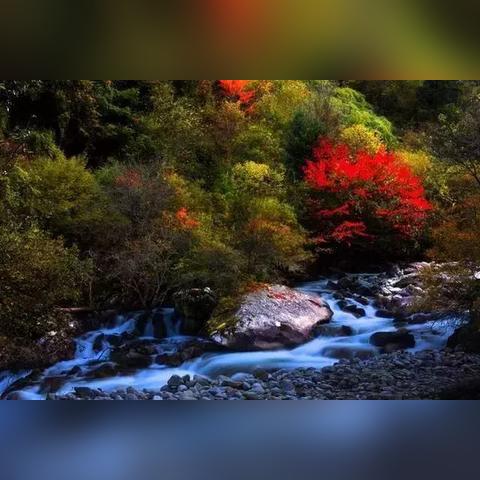 《原神龙之摇篮成就解锁！每日委托交友攻略揭秘》