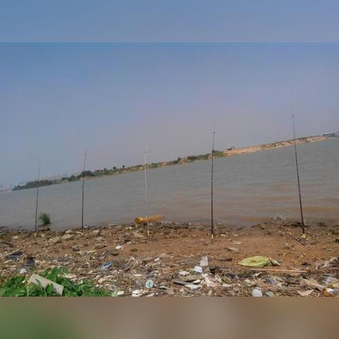 《Minecraft钓鱼成功率揭秘：全鱼类几率一览》