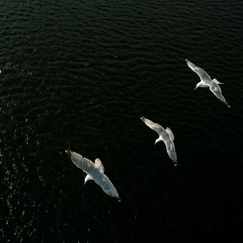 《绝地求生》8周年游轮宝藏地图揭秘！