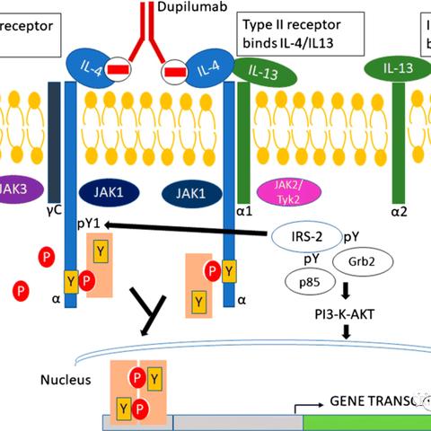 2025年变态手游排行：揭秘热门变态游戏平台大盘点