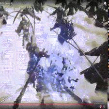 《黑神话：悟空》四妹惊艳亮相！预售倒计时，6月14日抢鲜体验