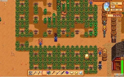 《星露谷物语》沙漠柱子献祭攻略：快速提升神秘力量