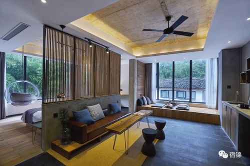 《乌冬旅店现代挂画攻略：揭秘获取与隐藏位置》