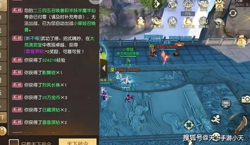 《野火流明》尘阳子技能解析：实战攻略大揭秘