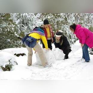 《无限暖暖》头巾鱼捕捉攻略：隐藏采集点大揭秘