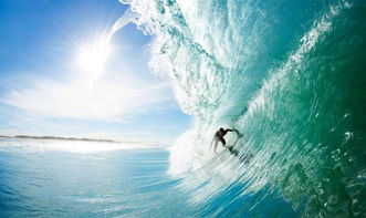 《渔帆暗涌》四大珍稀鱼藏匿之地揭秘！
《渔帆暗涌》稀有鱼分布攻略：寻宝秘境大公开！
《渔帆暗涌》珍稀鱼捕捞秘籍：四大宝藏鱼位置全解析！
《渔帆暗涌》独家探秘：四大稀有鱼栖息地大揭秘！