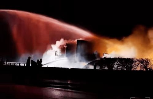 《渔帆暗涌》四大凶猛大鱼藏身之地揭秘！
《渔帆暗涌》独门秘籍：捕捉四大巨鱼攻略！
《渔帆暗涌》隐藏巨物！四大强力大鱼位置大公开！
《渔帆暗涌》四大深海霸主！渔夫必看捕捉技巧！