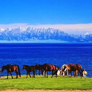 《逆水寒手游》沙海蜃楼通关秘籍，轻松解锁！