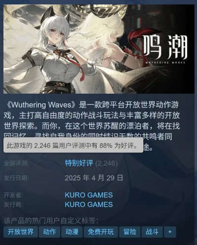《鸣潮》Steam热销登顶六强，国产游戏全球狂热追捧