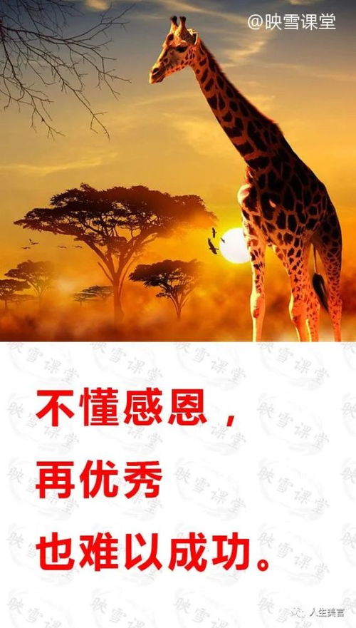 罗翔2025毕业寄语：勇闯塞壬水域，成就非凡人生