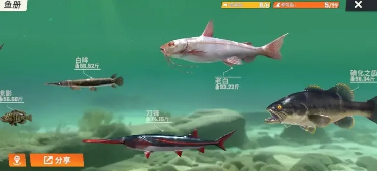 剑星钓鱼全攻略：25种鱼类图鉴深度解析