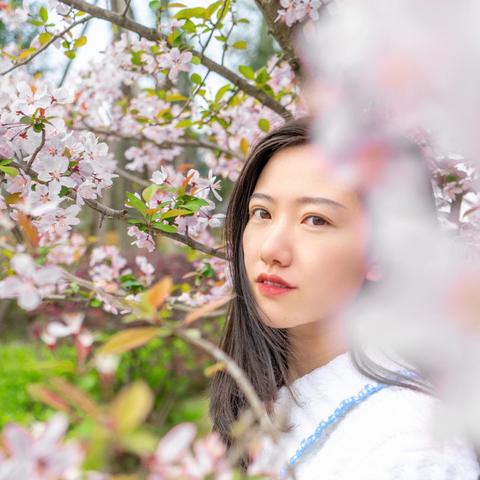 《秒速五厘米真人版》预告来袭，松村北斗主演浪漫心动瞬间