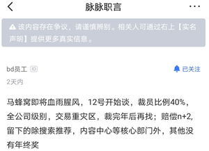 上海芯片团队裁员N+3，离职潮背后的行业真相！