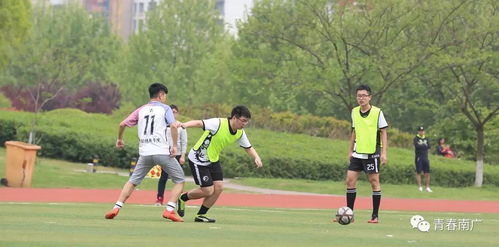 《哥赛跑泪洒赛场，甲亢哥逆袭！电视遭怒砸》