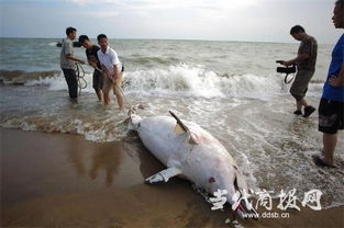 《死亡搁浅2》沙滩服饰曝光：休闲内敛风潮来袭