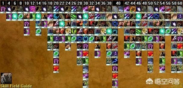 魔兽世界复原技能位置全解析，装备分布速查指南