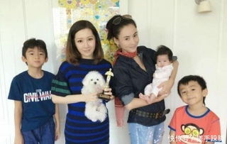 中川翔子NS2来源揭秘：友人相赠引发热议