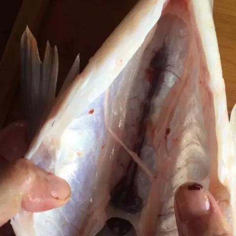 《苏丹复仇滋味铜读物攻略：独家获取秘籍》