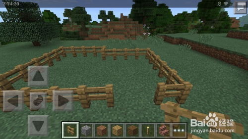 《我的世界养鸡攻略：新手到大师全解析》