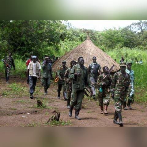 《苏丹金秘密攻略：快速获取与使用技巧》