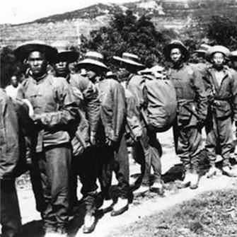 《苏丹金秘密攻略：快速获取与使用技巧》