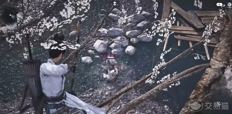 燕云十六声鹅童诀奇术速成攻略，独家获取技巧揭秘