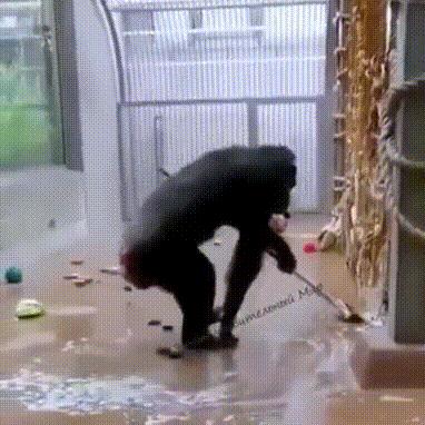 黑丝AI挑战赛：囧图高手过招，谁才是真正的游戏霸主？