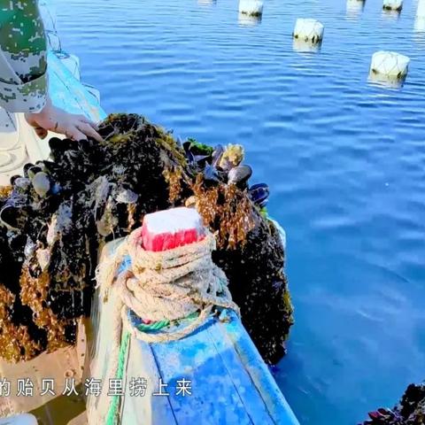 《蔚蓝牧场》DLC：动物栏新篇章，摸鱼治愈游戏来袭！