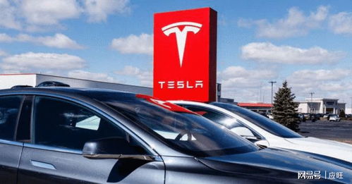 特斯拉库存爆满！揭秘“溢出停车场”的神秘车海