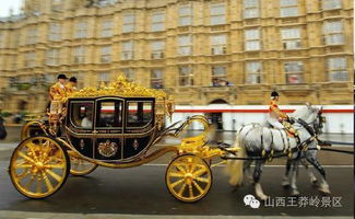 《马车世界》争议升级：动物权益与游戏平衡引热议