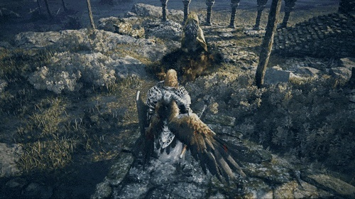 艾尔登法环黑夜君临执行者：深度解析角色详解