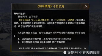 《和平精英PC版2025上线时间揭秘！》