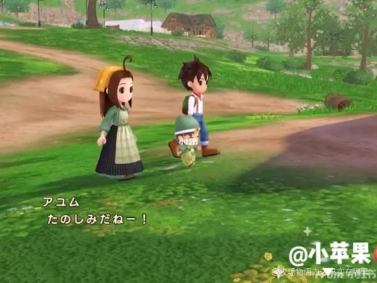 《牧场物语风之集市》重制版揭秘：经典回归，新体验来袭