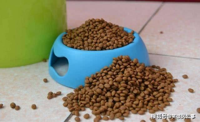 《人饲料争议：狗粮灵感下的创新探索》