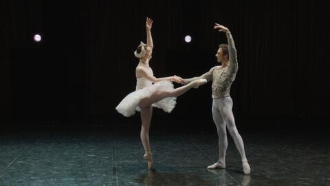 《芭蕾杀姬》票房仅5000万，揭秘幕后真相！