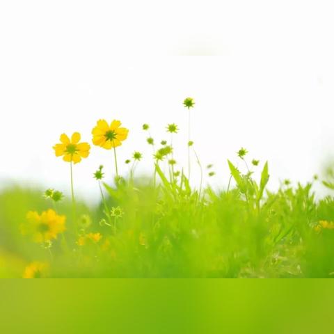 《地狱即我们》虚幻5动作新游，成人评级必玩！