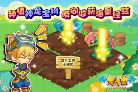 《龙之天地：种子树苗获取全攻略，种植达人必备！》