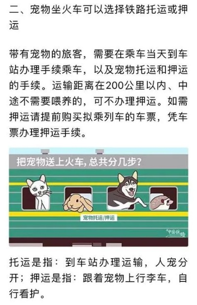 高铁带宠出行攻略：25站支持猫狗托运，限重15公斤！