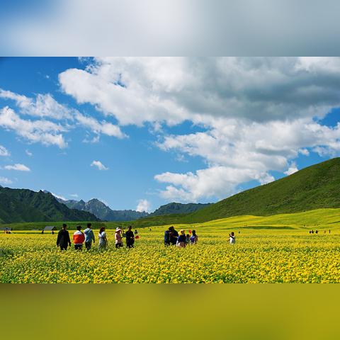 《归唐》携手甘肃文旅厅，古迹扫描新体验来袭！