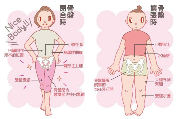 《骨盆起舞，脂肪师秘籍大公开！》