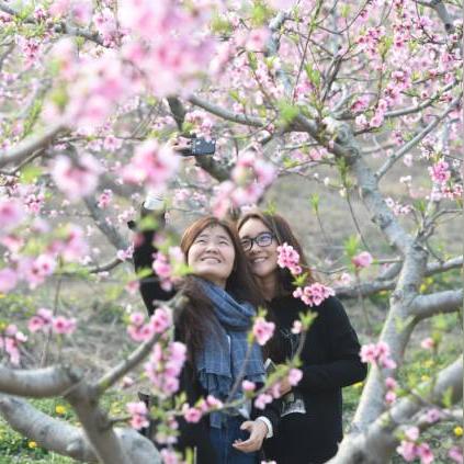 《无主之地4》拍照模式即将上线！探索未知，记录传奇