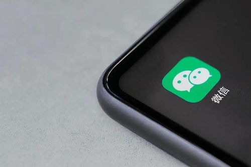 《银与绯iOS/安卓无缝数据互通，畅玩无界！》