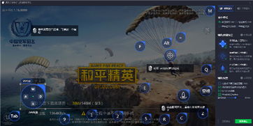 和平精英PC模拟器视野问题解决攻略