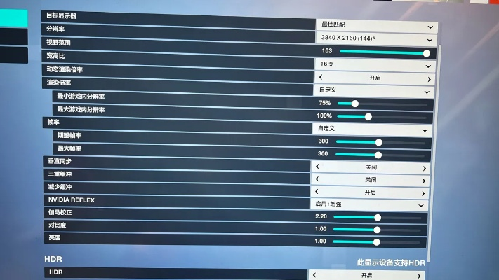 NS2画面模糊拖影问题揭秘！解决攻略大公开