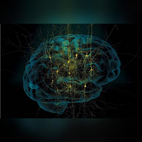 猪肾移植亚洲首例！术后超百天奇迹存活，揭秘突破！