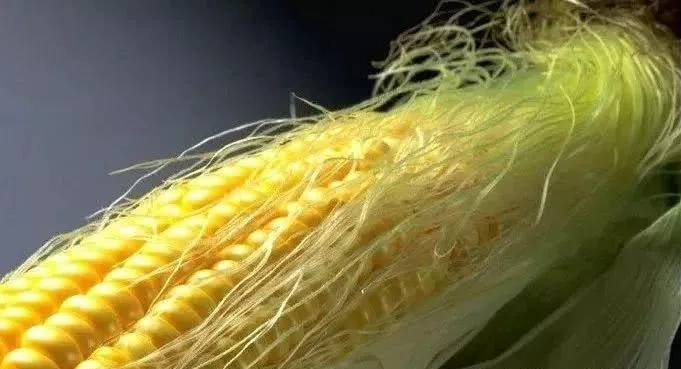 玉米须：胰腺癌克星，肿瘤缩40%！