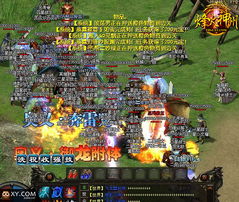 《2025龙石战争官网速览：独家攻略，不容错过！》