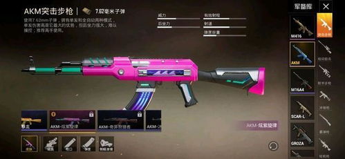 《和平精英PC版M24快手快狙皮肤免费领！独家领取入口揭秘》