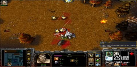 《女皇崛起：逆风开局，揭秘游戏新篇章》